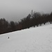 Verso il Bisbino 