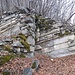 Formazioni rocciose. 