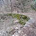 Discesa verso Monti di Lenno.