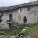 Monti di Lenno 528 mt. Un incisione riporta la data anno 1890 (non si vede in foto).