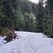 Schneebedecktes Sträßchen hinauf zum Mühlberger Älpele