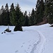 Wieder auf der breiten Wiese, die Sonne hat sich mittlerweile hinter den Schleierwolken versteckt