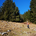 Weiter nach oben