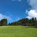 heute dürfen wir - endlich - recht viel Sonnenschein geniessen
