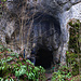 Der Eingang zur Kohlerhöhle (369m), der ersten Höhle auf der Westseite vom Ibach, 10 Minuten Gehzeit vom Chessiloch und fast gegenüberliegend von der ebenfalls prähistorisch bewohnten Höhle „Heidenküche.“ Der Höhleneingang ist 6m über dem Bachbett und nur duch leichte Kletterei (I) zu erreichen.