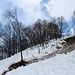<b>Slavina caduta sulla stradina della Valle di Campo.</b>