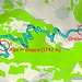 <b>Tracciato GPS Alpe di Bovarina.</b>