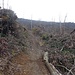 il disastro del Vaia
