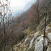 Il sentiero continua lungamente sul versante sud del Cornizzolo, fino ad incontrare alcune zone rocciose, dove si inizia a perdere quota.