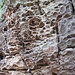 Die Felsen haben teilweise solche löchrigen Verwitterungsformen, wie man sie auch anderswo von Sandsteinfelsen kennt.