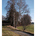 Baumgruppe