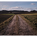 open range