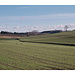 Fauxpanorama mit Fluchtinstinkt