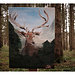 Auch einen Hirsch gibts im Wald!
