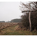Altogipfelkreuz