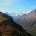 Ausblick von der Alp Languard