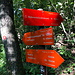 Im Aufstieg zur Pleša - Für den Aufstieg wählen wir den "strma pot", also den "steilen Weg". Entsprechend halten wir uns rechts. Auf dem Rückweg geht's später über den "položna pot" ("flacher Weg"), der ein ganzes Stück länger ist.