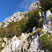 Im Aufstieg zur Pleša (strma pot) - Auch hier lotst die "Knafelčeva markacija" (Knafelc-Markierung) durch die Felslandschaft.