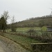 Im westlichen Teil des Waldes eingebettet liegt dieser offene Weinberg. Ganz hinten oben liegt der Burgberg, den ich als erstes besuchte, später ging ich dann oben am Weinberg wieder zurück.