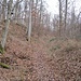 Schmale Wege führen auf den Burgberg. Beim oben links sichtbaren Jägerturm geht es weiter.