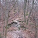 Hier ist der Höhenrücken durch einen tiefen Einschnitt unterbrochen, der möglicherweise auch menschlichen Ursprungs ist. Ich besuchte noch kurz den gegenüberliegenden Berg, den Schreckstein, der aber nichts besonderes bietet, und ging dann im Einschnitt nach rechts (Süden) hinunter, um nach den keltischen Grabhügeln zu suchen.