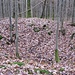 Auf dem keltischen Grabhügel. Dieser hat die Form eines in der Mitte ausgehöhlten Ringwalls. Andere Grabhügel sind dagegen geschlossen.