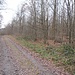 Der kleine Buckel rechts des Weges ist ein weiterer keltischer Grabhügel. Dieser ist oben geschlossen.