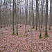 Und hier geradeaus noch ein keltischer Grabhügel, ebenfalls oben geschlossen.