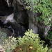 Unterwegs im Park Škocjanske jame - Tiefblick zum Fluss, der durch enge Felsschluchten und -röhren rauscht.