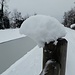 Spessore della neve pari a 22 cm.