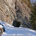 Unterwegs auf der Forststrasse hat es auch einen knapp 100 m langen Tunnel!