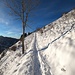<b>Dal nucleo di Roncapiano imbocco il sentiero, che alla destra sale in direzione di Costa e degli alpeggi sul versante meridionale del Monte Generoso. <br />La neve è battuta dai numerosi passaggi di escursionisti a piedi, con le racchette da neve o con gli sci. </b><br />
