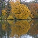 Herbst am Kleinhesseloher See
