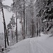 Auf dem Wanderweg gegen Punkt 950m hinauf.<br /><br /><br />