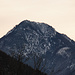 Wildbarren
