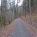 Ein Fahrweg leitet durch das Tal.