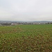 Vom Eichelberg hat man einen schönen Blick über Bayreuth.