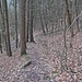 Auf einem Wurzelweg geht es hinunter...