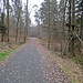 Am Fahrweg geht es zurück zum Gasthof Schlehenberg.