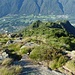 vista sulla dorsale percorsa, si vede il pianoro dell'alpe pianezza