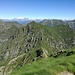 cima sciarina in primo piano