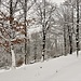 Pianelle ricoperte dalla neve nei pressi della Cascina San Sebastiano.