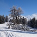 Malerischer Höhenweg am Siebenkögel