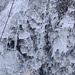 Eisige Details am Wasserfall