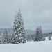 Winterlandschaft unter der Krunkelbachhütte, wo wir erst zwei Tage zuvor mit den Schneeschuhen bei wesentlich ungünstigerem Wetter durchkamen