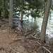Sufnersee - mit hohem Wasserstand