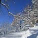 ... salendo verso il Monte Bolettone