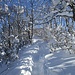 dalla Capanna Mara verso il Monte Puscio