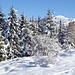 Paesaggio invernale e M.Rai arrivando al rif.Consiglieri.
