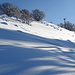 In discesa dal M.Prasanto al Sasso Malascarpa.